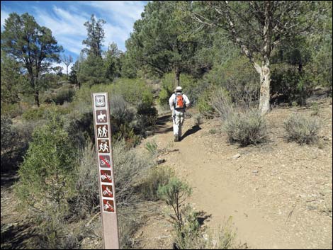 Lovell Canyon Trail