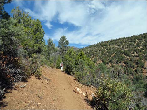 Lovell Canyon Trail