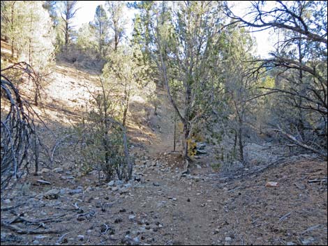 Lovell Canyon Trail