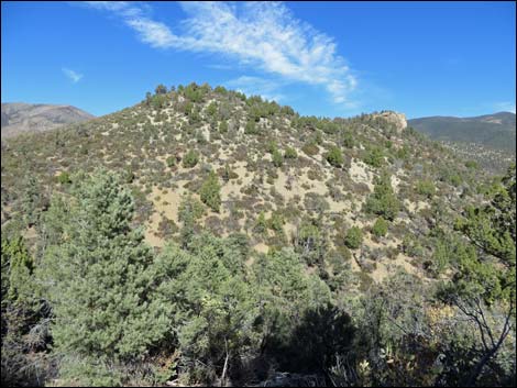 Lovell Canyon Trail