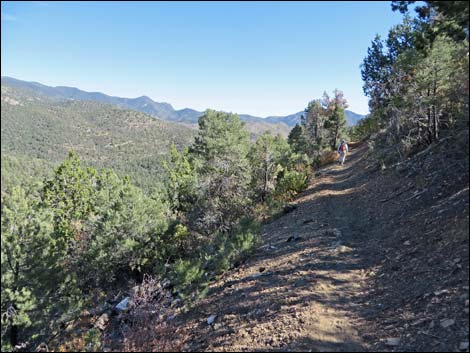 Lovell Canyon Trail