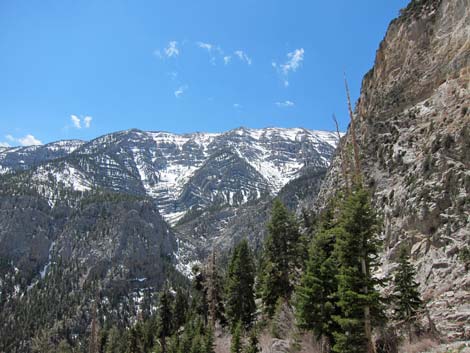 Mary Jane Falls