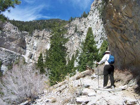 Mary Jane Falls Trail