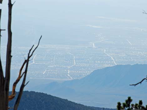 North Loop Trail Viewpoint