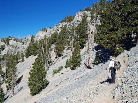 North Loop Trail -- North Ridge