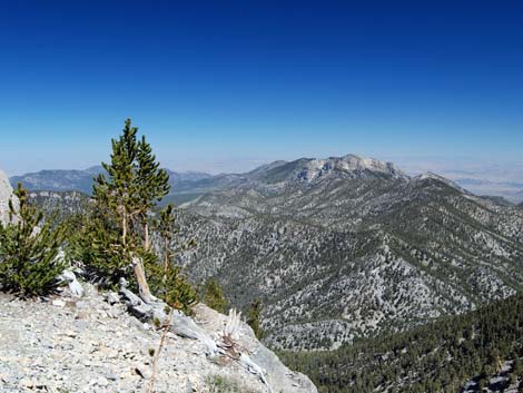 North Loop Trail -- North Ridge