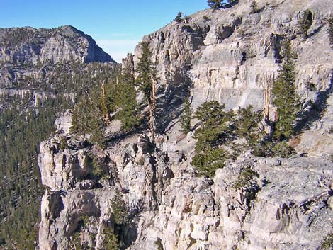 North Loop Trail - North Ridge