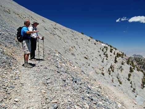 Mt Charleston, East Face