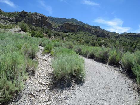 Escarpment Trail