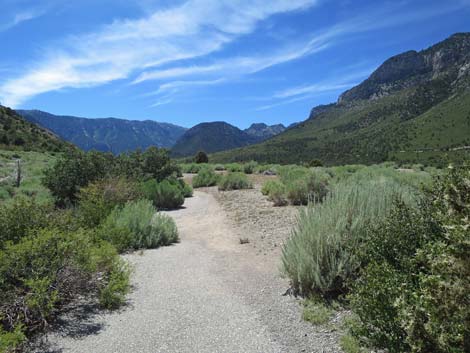 Escarpment Trail