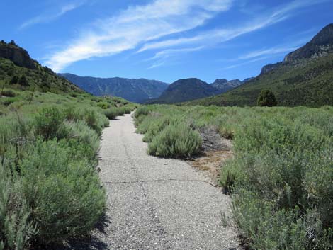 Escarpment Trail