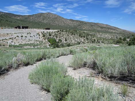 Escarpment Trail