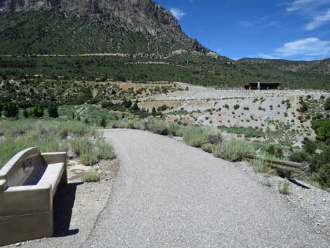 Escarpment Trail