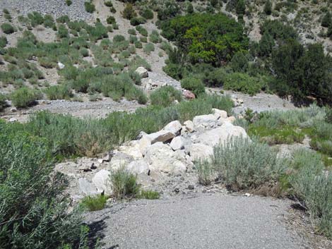 Escarpment Trail