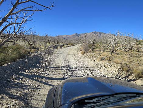 Harris Mountain Road