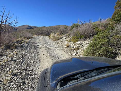 Harris Mountain Road