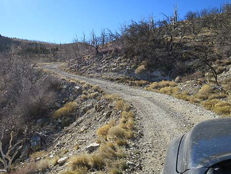 Harris Mountain Road