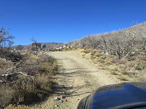 Griffith Peak Trailhead