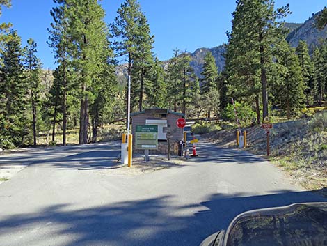 Cathedral Rock Picnic Area