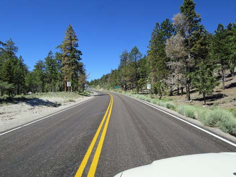 Lee Canyon Road