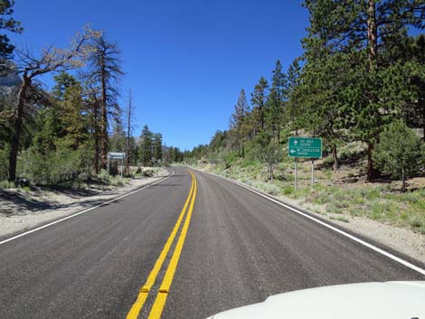 Lee Canyon Road