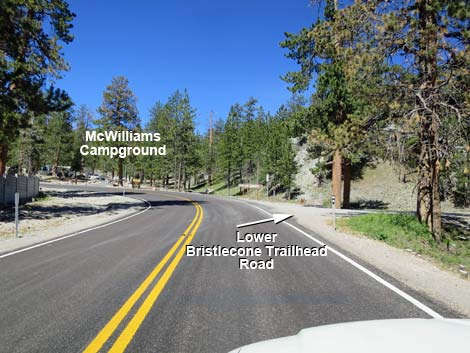 Lee Canyon Road