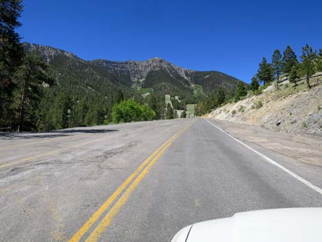 Lee Canyon Road