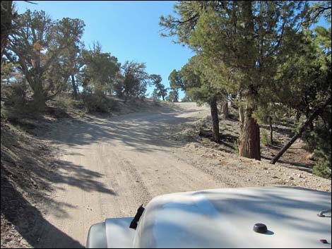 Mack's Canyon Road