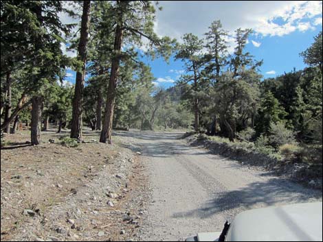 Mack's Canyon Road