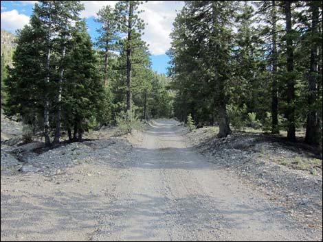 Mack's Canyon Road