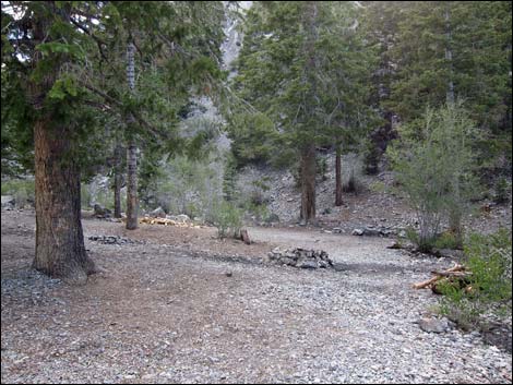 Mack's Canyon Road