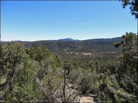 Big Sawmill Loop Trail