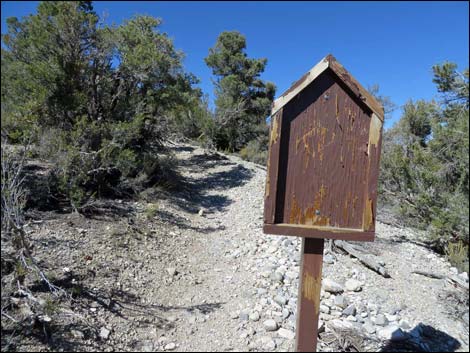 Big Sawmill Loop Trail