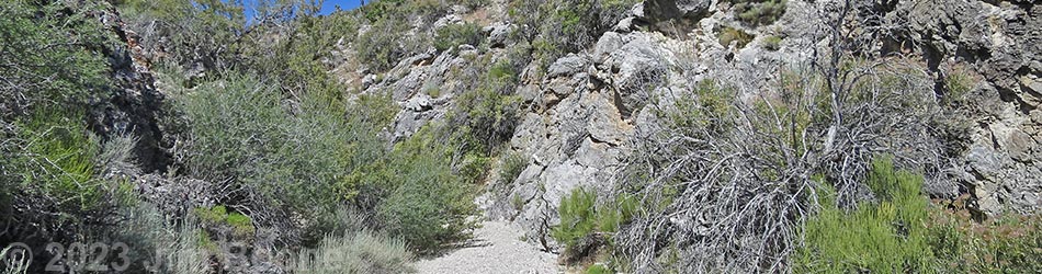 Rocky Gorge Loop Trail