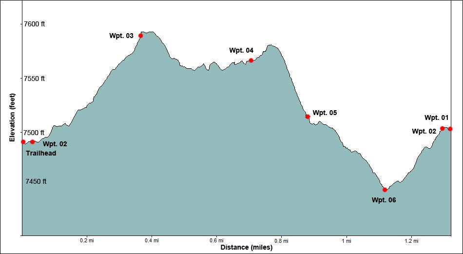 Sawmill Loop Trail Elevation Profile