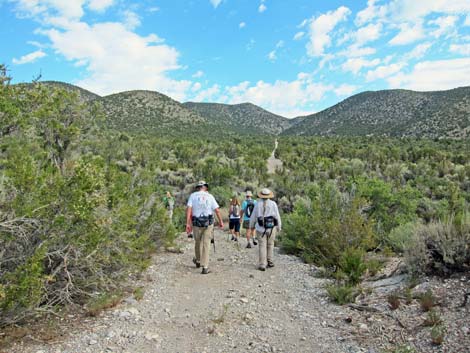 Lower Telephone Canyon Trail