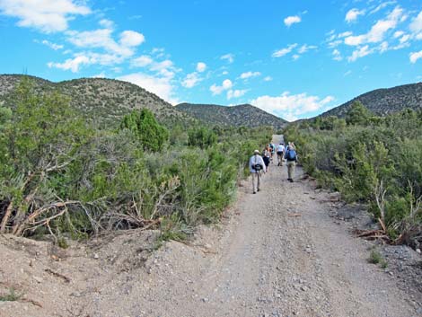 Lower Telephone Canyon Trail