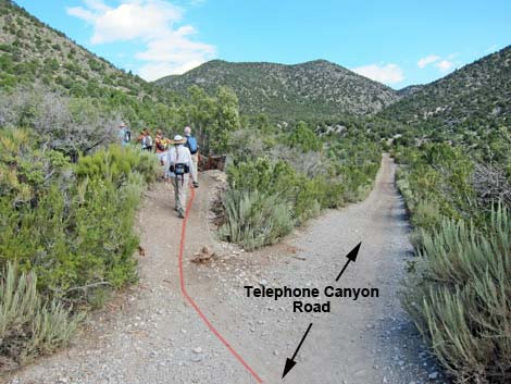 Lower Telephone Canyon Trail