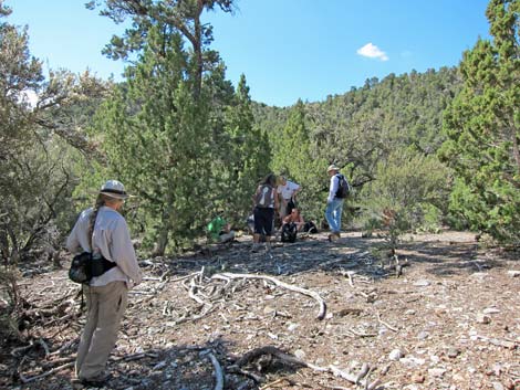 Lower Telephone Canyon Trail