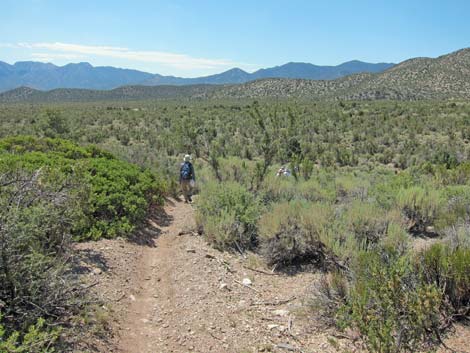 Lower Telephone Canyon Trail