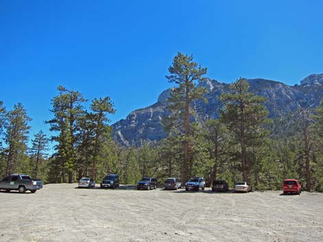 Lower Bristlecone Trailhead