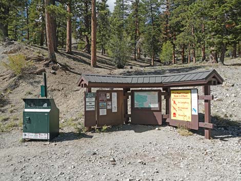 Lower Bristlecone Trailhead