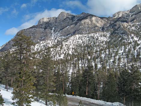 Upper Bristlecone Trailhead