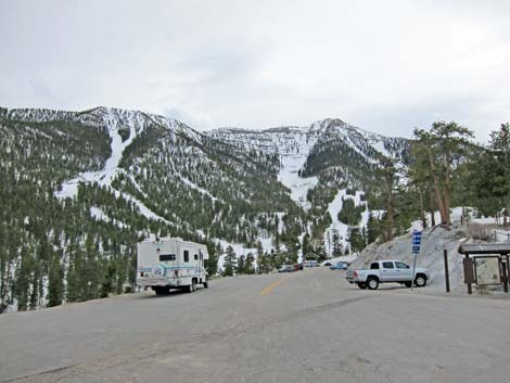 Upper Bristlecone Trailhead