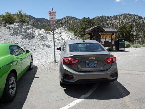 Upper Bristlecone Trailhead