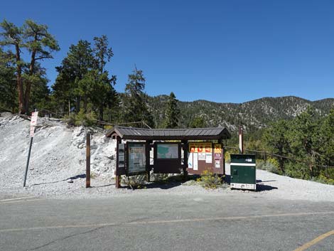 Bristlecone Trail