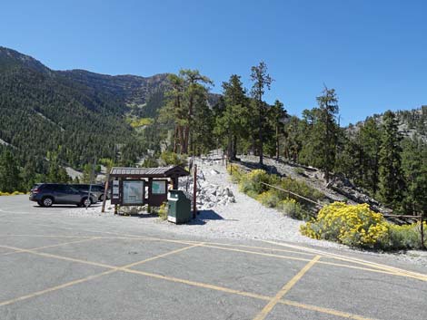 Bristlecone Trail