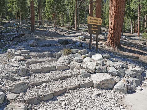 Griffith Peak Trail