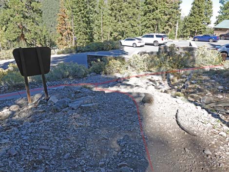 Cathedral Rock Trailhead