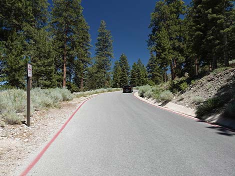 Cathedral Rock Trailhead